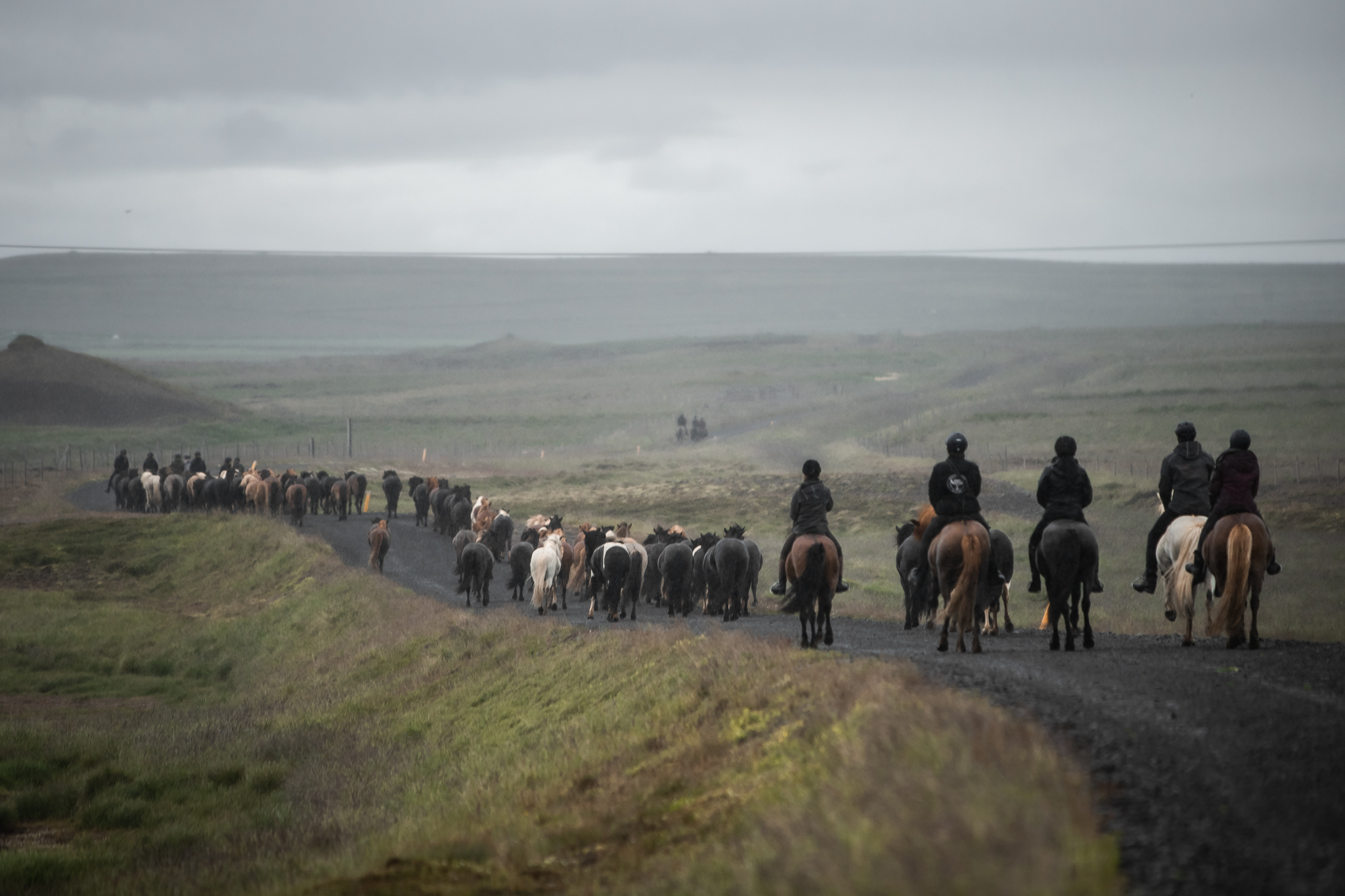 Reitgruppe mit Islandpferden in der ursprünglichen Landschaft des Nordwestens Islands